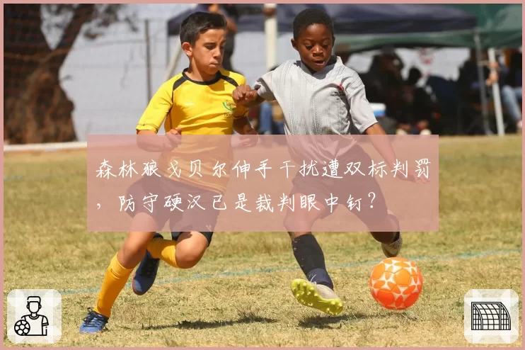 森林狼戈贝尔伸手干扰遭双标判罚,防守硬汉已是裁判眼中钉?
