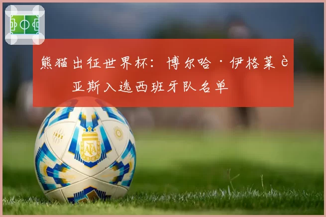 熊猫出征世界杯:博尔哈·伊格莱西亚斯入选西班牙队名单