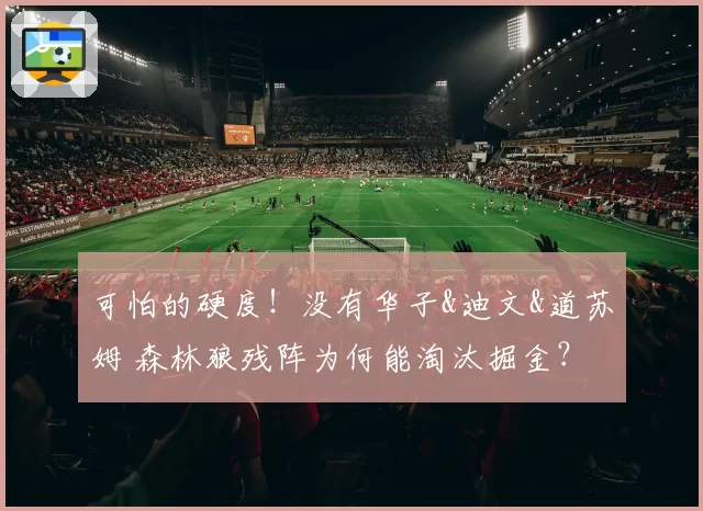 可怕的硬度！没有华子&迪文&道苏姆 森林狼残阵为何能淘汰掘金？